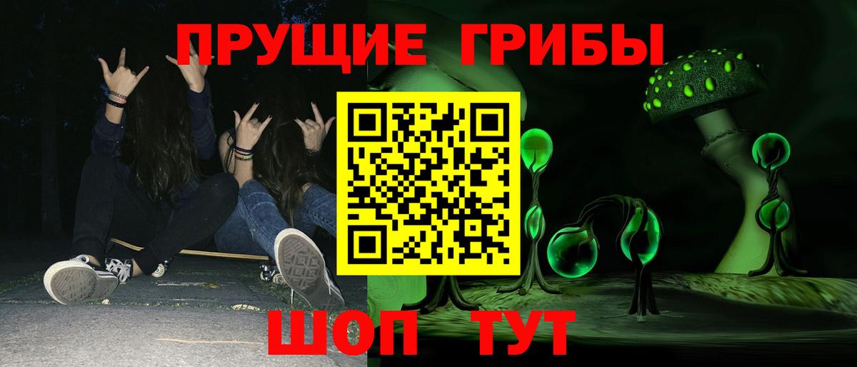 Псилоцибиновые грибы Cubensis Сунжа